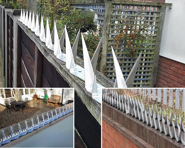 Hot Dipped Galvanized Wall Spikes with Less Sharp Blunt Tips