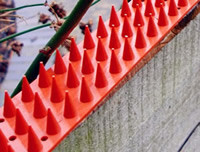 Residential gate with spikes for additional security