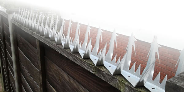 Wall Spikes on Gate, Building, Fence for High Level Security Fencing