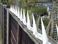 Residential gate with spikes for additional security