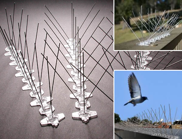 Pigeon Deterrent Spikes